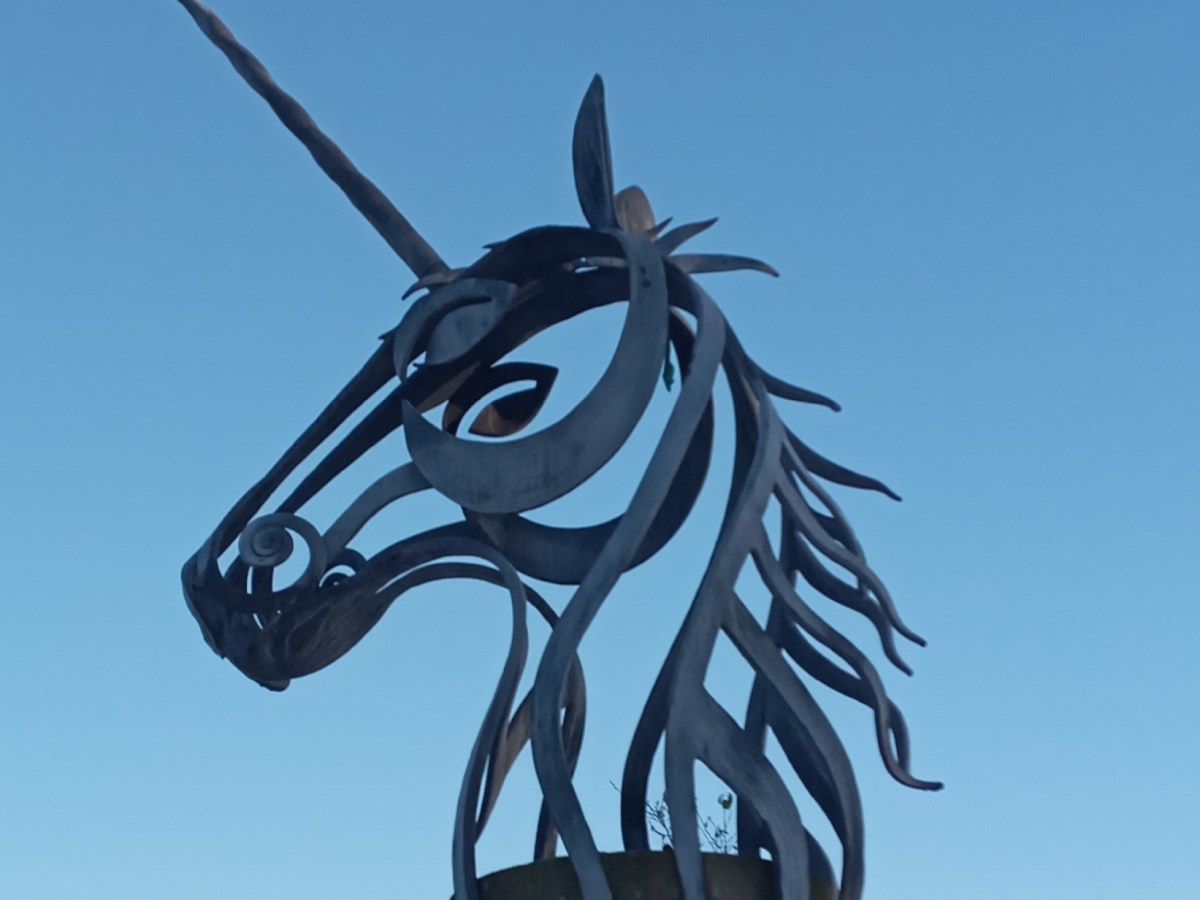 Jak szybko nie umierać wśród zabieraczy&nbsp;życia